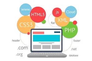 Web Development Services in Pune