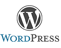 wordpress development in Pune